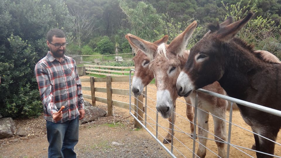 A Glimpse into the World of a Donkey Whisperer: Part II
