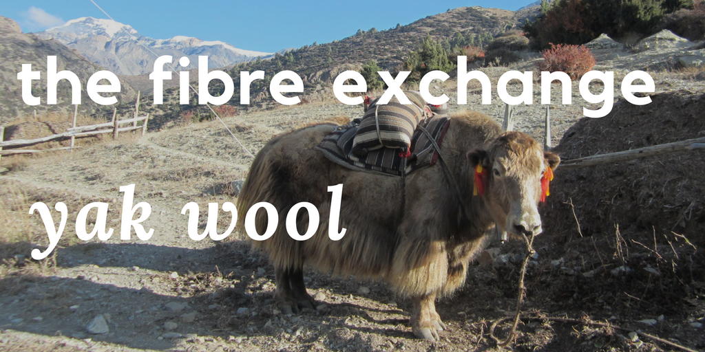 The Fibre Exchange: Yak Wool
