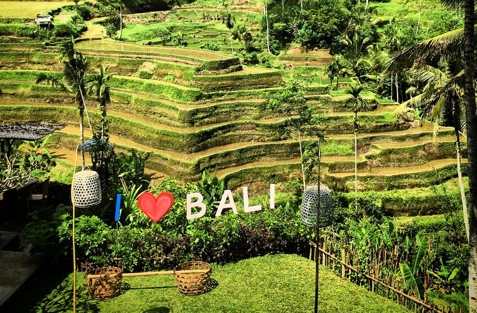 My Love and Hate Relationship with Bali