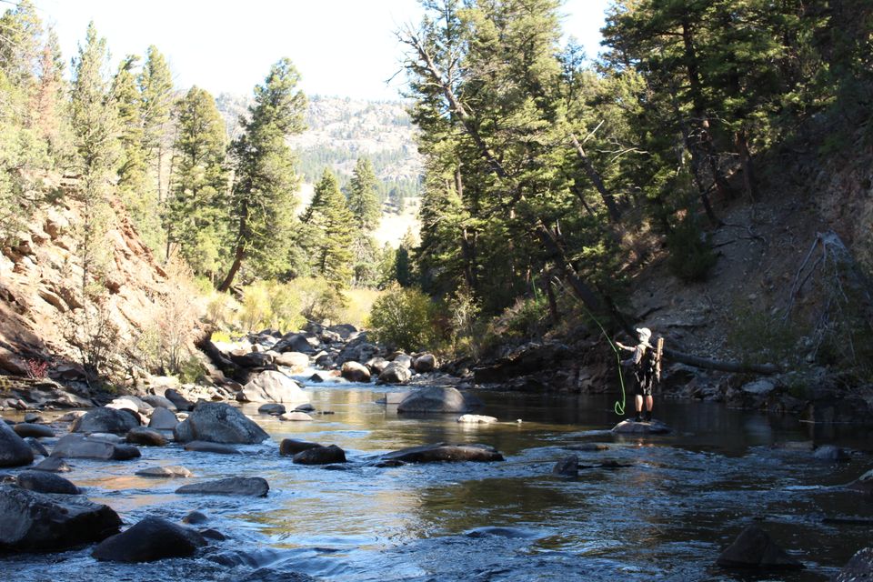 Fly fishing the Yellowstone River